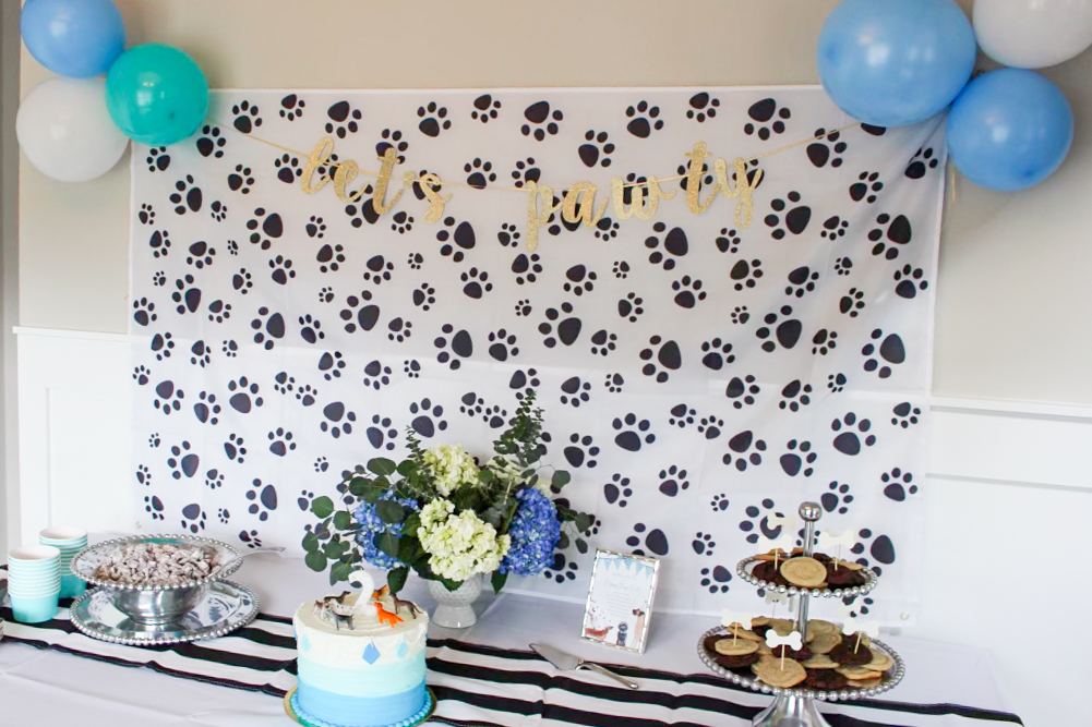 First Birthday Party Themes for Boys